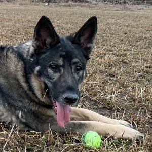 Meet your Posher, Jordan